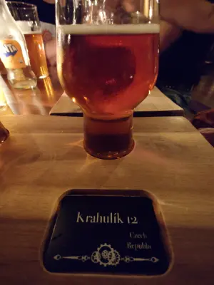 TomHendriksen's photo of Krahulík 12