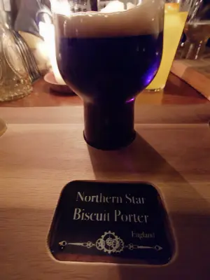 TomHendriksen's photo of Wild Northern Star