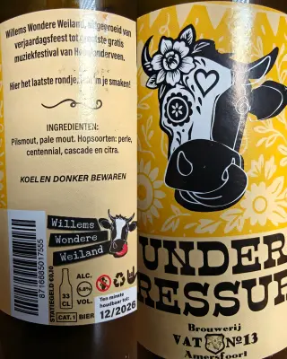 Basementonline's photo of Under Pressure