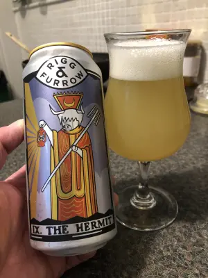 Garrold's photo of IX. The Hermit