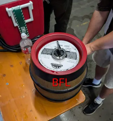 Dogbrick's photo of BFL (2020)