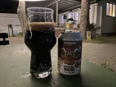 Holmen2's photo of Invisibly Bikini Stout