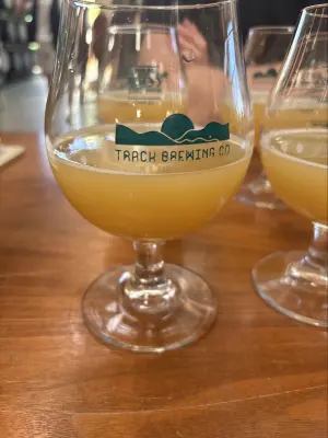 Mr_Pink_152's photo of Dreaming of... DDH Nelson IPA