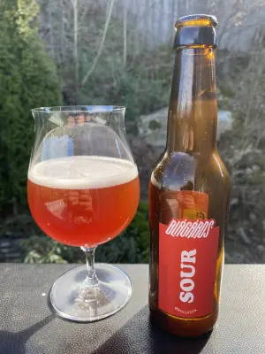 IpaPils's photo of Blågårds Sour