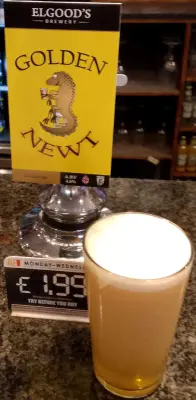 Deanso's photo of Golden Newt (Cask)