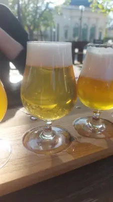 Gurthnar's photo of Ale 11°