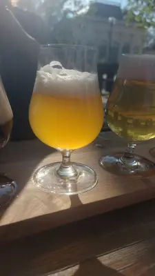 Gurthnar's photo of Pšeničné 11°
