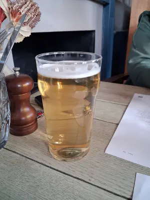 DavrosIX's photo of Wild Swan