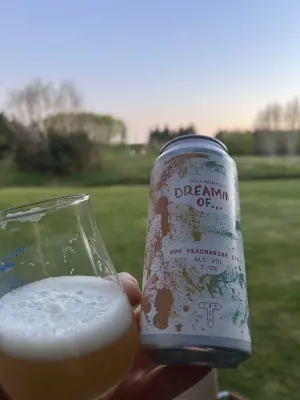 Dedollewaitor's photo of Dreaming of... DDH Peacherine IPA