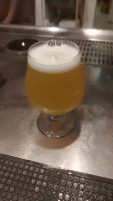 Gurthnar's photo of 14 Mistral Modern IPA