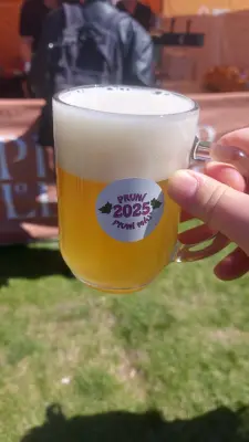 Gurthnar's photo of Žitné Gose 9 (Rye Gose)