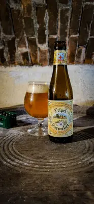 mariodelajlic's photo of Tripel Karmeliet