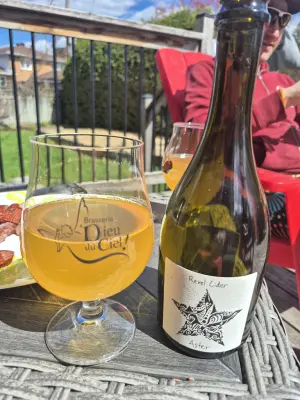 Lubiere's photo of Aster