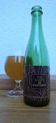 EvNa's photo of The Shape of Existence