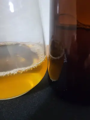 danlo's photo of Apple & Mango Mead