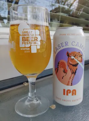 stevoj's photo of Laser Camel