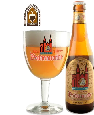 RudiGR's photo of Dendermonde