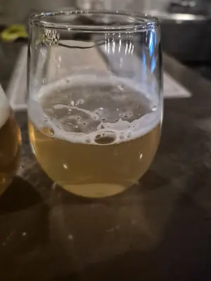 Lubiere's photo of Mittelfrüh Pils