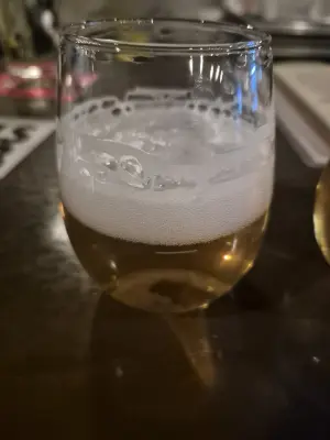Lubiere's photo of Classic Plžen
