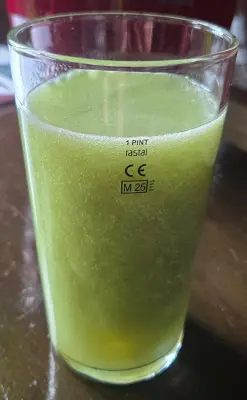 eurosoba's photo of Splendiferous Slime