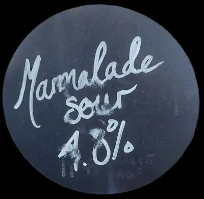 eurosoba's photo of Tap & Brew Experimental Sours - Damson Gin Collins