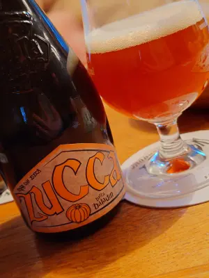 TomHendriksen's photo of Zucca