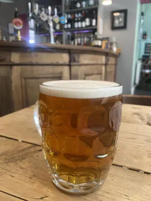 wyzzywyz22's photo of This Splendid Ale