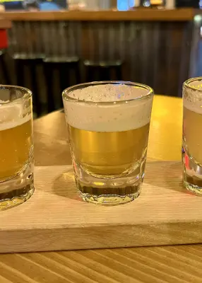 Grumbo's photo of Alco-Free IPA