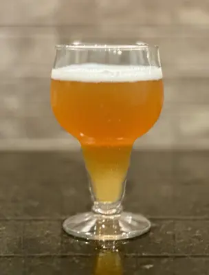 PLohbauer's photo of High Stepper American IPA