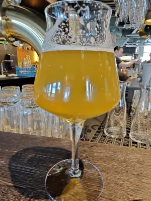 Basementonline's photo of IPA