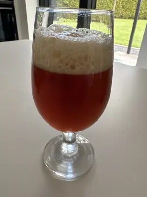 saxo's photo of FAD 5.1 American Amber Ale