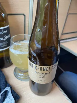 Borresteijn's photo of Foeder Beer - Citra Sabro
