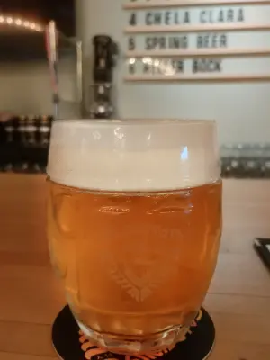 McDermottDrink's photo of Spring Beer