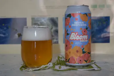 AleDegustation's photo of Bloom