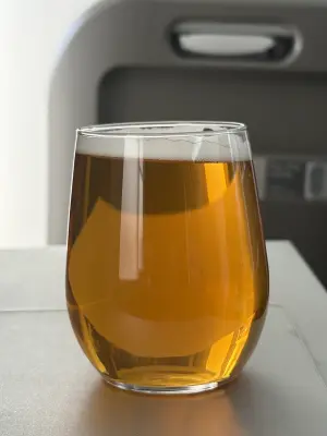 jimgreen's photo of Speedbird OG Transatlantic IPA