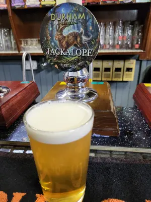 danlo's photo of Jackalope