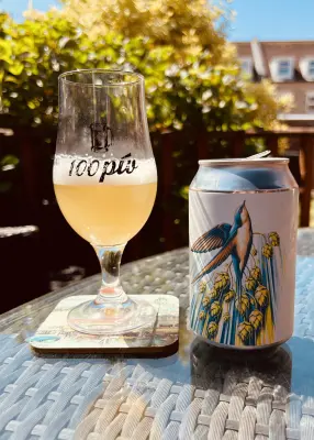 Grumbo's photo of Swift Haze