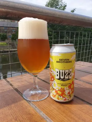 BlackHaddock's photo of Buzz