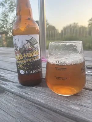 Mr_Pink_152's photo of Mad Hare