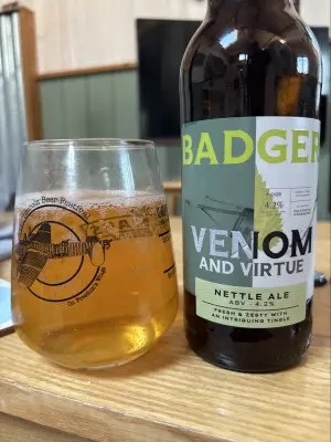 Mr_Pink_152's photo of Venom And Virtue