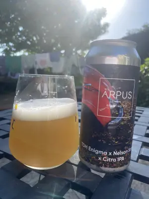 wyzzywyz22's photo of TDH Enigma X Nelson Sauvin X Citra IPA