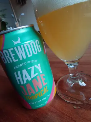 TomHendriksen's photo of Hazy Jane Tropical