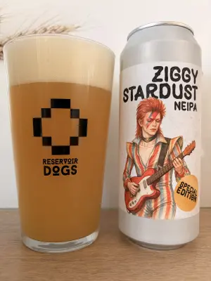 Kita's photo of Ziggy Stardust