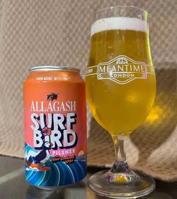 bhensonb's photo of Surf Bird