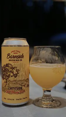 BeerPlace's photo of Latitude NZ Hazy IPA