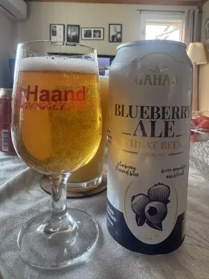 Chris_Ofstad's photo of Gahan Blueberry Ale
