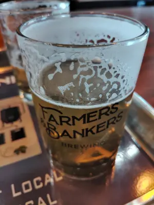 stevoj's photo of Experimental Saphir - Oat Lager
