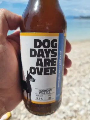 Arsol's photo of Dog Days Are Over