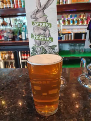 BlackHaddock's photo of Spring Hopper