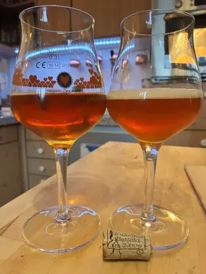 jhaase's photo of Rosé de Gambrinus (2006)